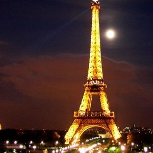 Meet your Posher, Bonnie